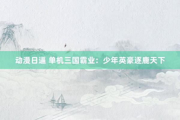 动漫日逼 单机三国霸业：少年英豪逐鹿天下