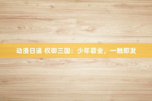 动漫日逼 权御三国：少年霸业，一触即发