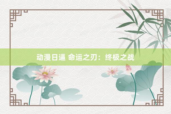 动漫日逼 命运之刃：终极之战